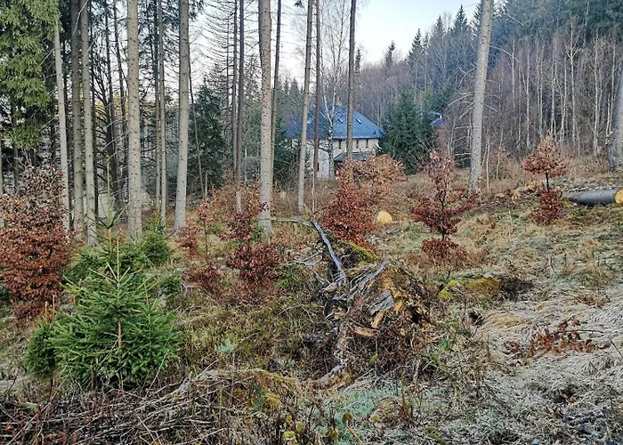 Hájenka Nebe-apartmán Hájenka * Kasperske Hory